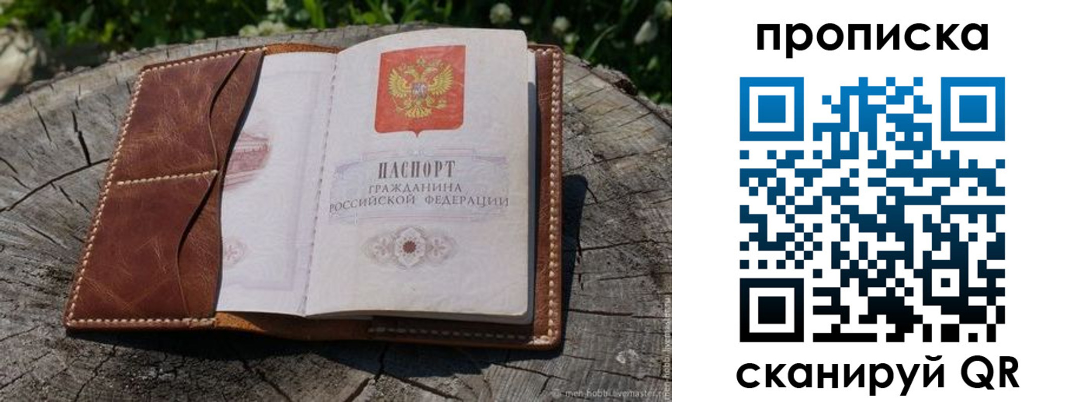пропишу в квартире в Бородино